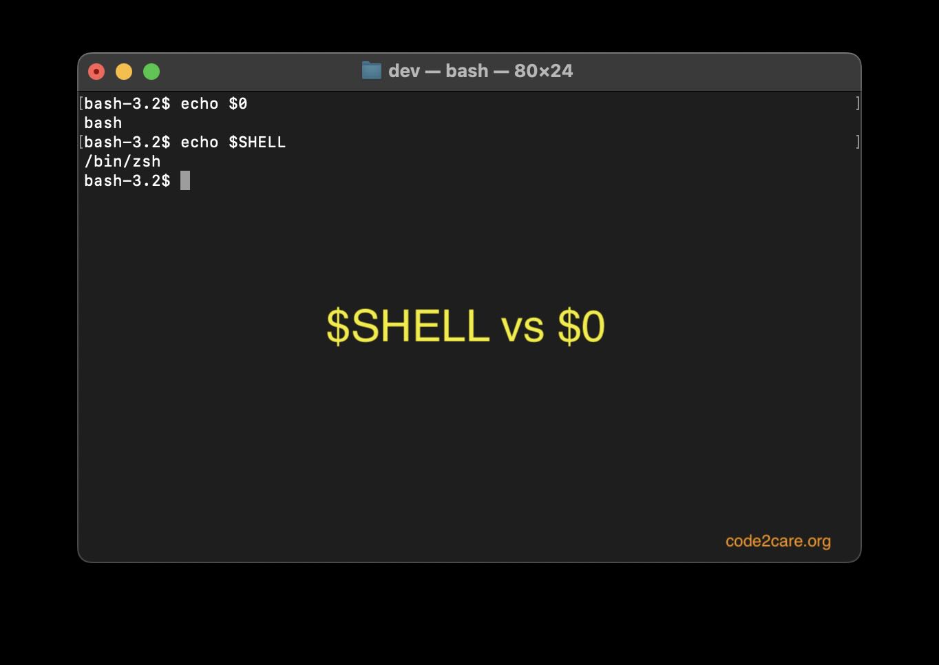 $SHELL vs $0 Example